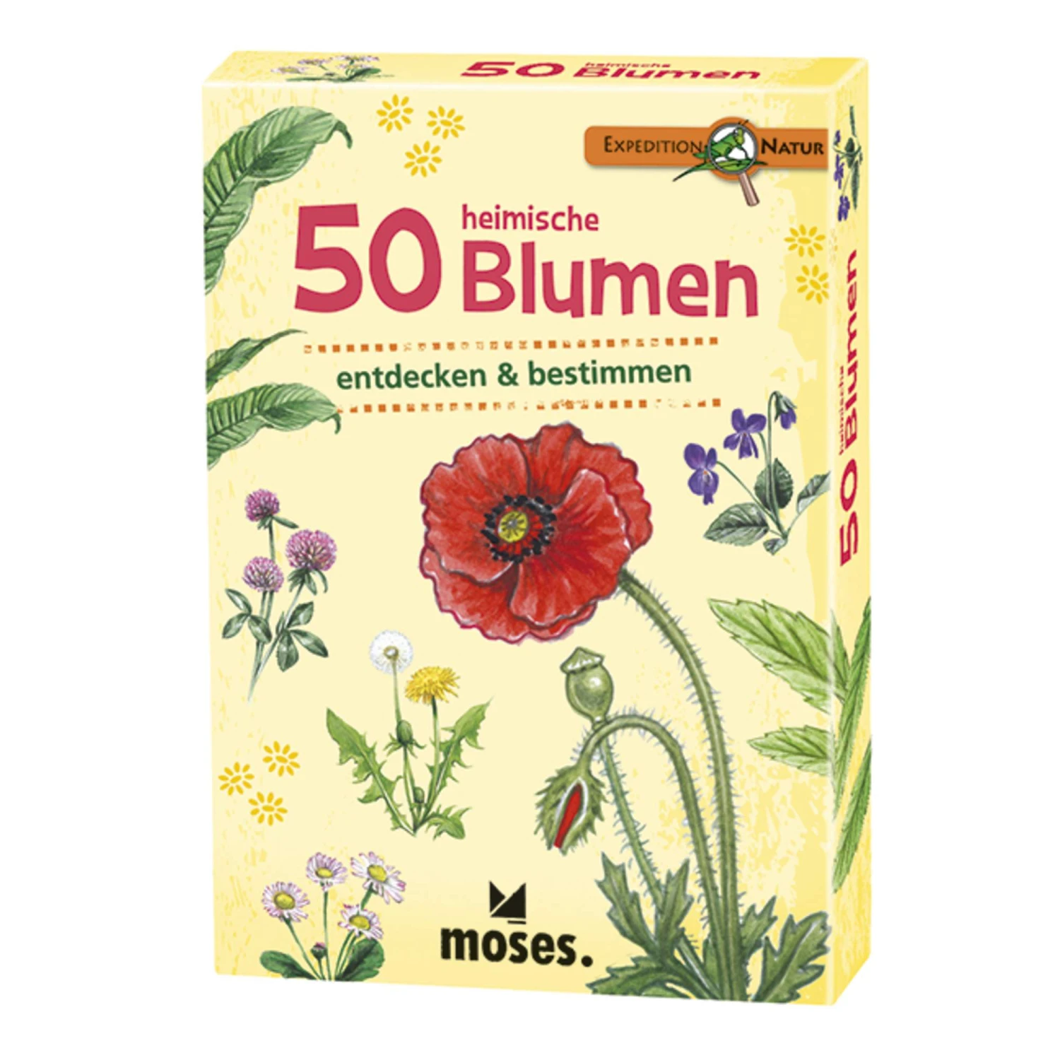 EXPEDITION NATUR 50 HEIMISCHE BLUMEN Kinder 1 EXPEDITION NATUR 50 HEIMISCHE BLUMEN Kinder