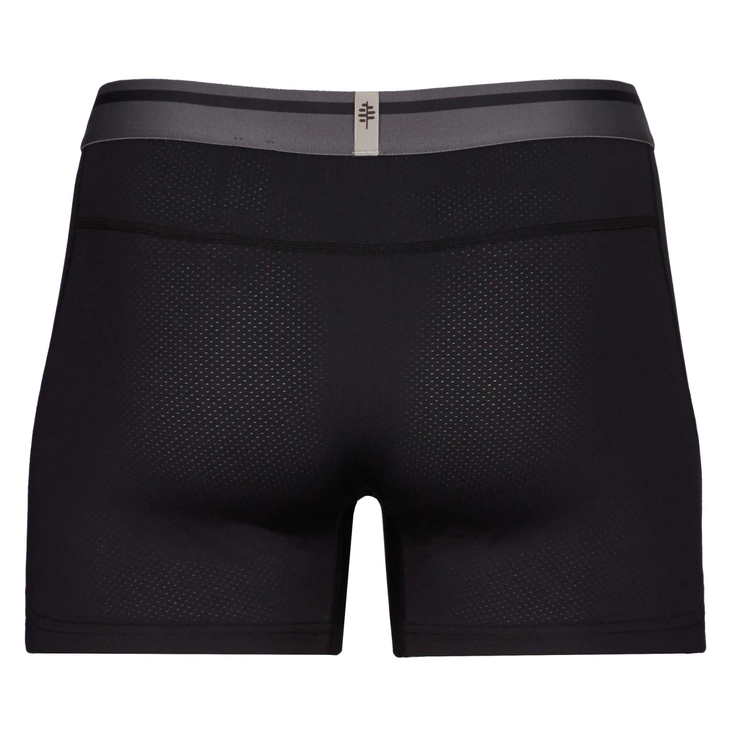 Royal Robbins READYDRY BOXER BRIEF 4' Herren - Funktionsunterwäsche 2 Royal Robbins READYDRY BOXER BRIEF 4' Herren - Funktionsunterwäsche – Bild 2