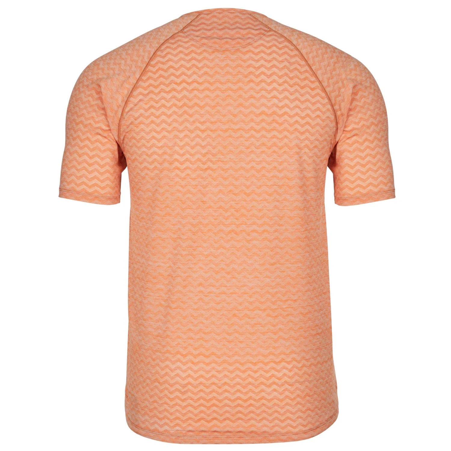 Patagonia M' S RIDGE FLOW SHIRT Herren - Funktionsshirt – Bild 2