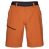 SALEWA PUEZ 3 DST M SHORTS Herren - Shorts