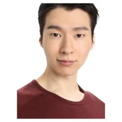 Icebreaker 200 OASIS LS CREWE LAST RUN Herren - Funktionsshirt -Globetrotter Verkäufe 5637951218 h 200 oasis ls crewe last run icebreaker 24