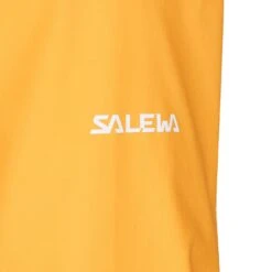 SALEWA ORTLES PTX 3L M JACKET Herren - Hardshelljacke -Globetrotter Verkäufe 5637953396 e ortles ptx 3l m jacket salewa 24