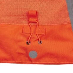 Icebreaker SHELL+ HOODED JACKET Damen - Softshelljacke -Globetrotter Verkäufe 5637954397 f shell hooded jacket icebreaker 24