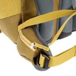 Deuter FOX 30 Kinder - Kinderrucksack -Globetrotter Verkäufe 5638031113 j fox 30 deuter 24